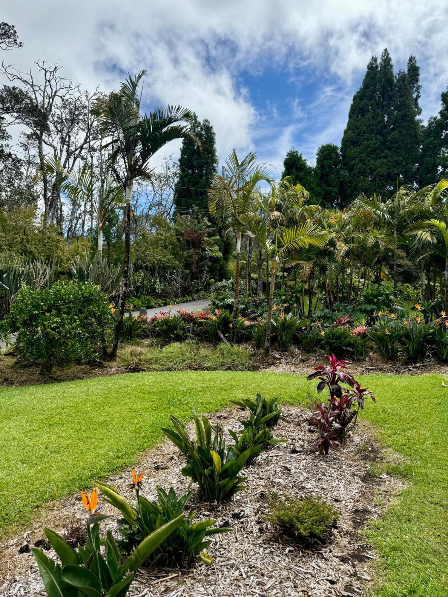 Aloha Junction Bed And Breakfast -Minutes Away From Hawaii Volcanoes National Park Exterior photo