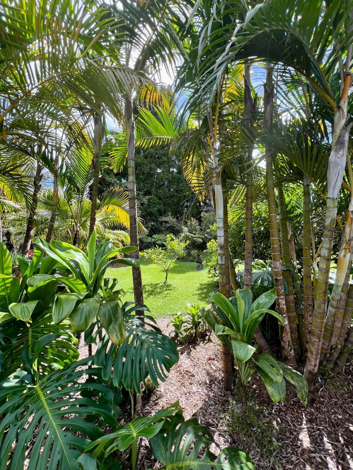 Aloha Junction Bed And Breakfast -Minutes Away From Hawaii Volcanoes National Park Exterior photo